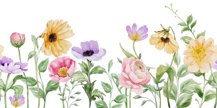 Watercolor spring wildflowers garden flowers seamless border, hand drawn repeat floral seamless border