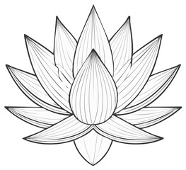 Fototapeta premium Elegant Lotus Flower Contour Drawing: Detailed Floral Design for Coloring Pages and Botanical Illustrations