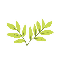 Obraz premium Vector illustration of green leaves isolated on white
