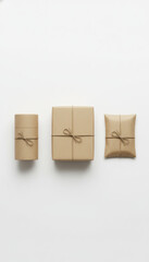 Obraz premium Minimal eco friendly product packaging with natural brown paper and simple branding tied with string for clean and sustainable look