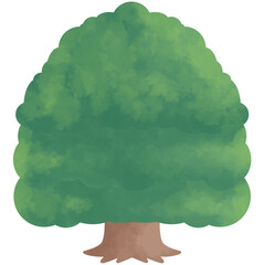 水彩の広葉樹のイラスト