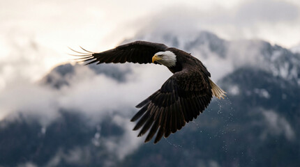 Obraz premium Bald Eagle Soaring Through Misty Mountain Clouds And Fog