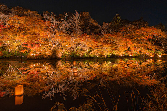 御船山楽園の紅葉