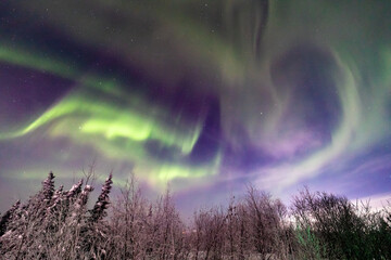 アラスカ　フェアバンクスのオーロラ