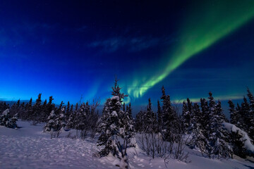 アラスカ　フェアバンクスのオーロラ
