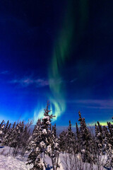 アラスカ　フェアバンクスのオーロラ