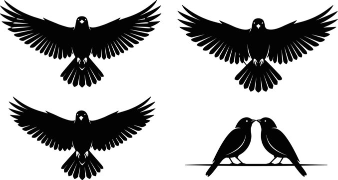 Black bird silhouette set with flying crows and love birds on branch, raven wings spread vector icons on white background