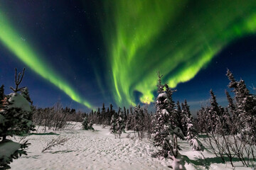 アラスカ　フェアバンクスのオーロラ
