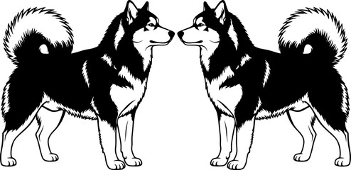 Siberian husky dog silhouette vector illustration, black and white mirrored twin sled dogs standing isolated on white background, pet design. © Delowara