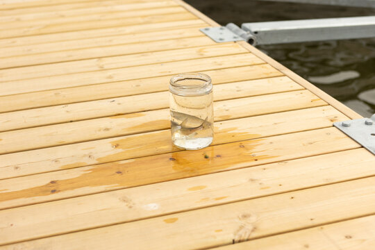 Perch in glass jar on wooden bridge