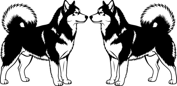 Siberian husky dog silhouette vector illustration, black and white mirrored twin sled dogs standing isolated on white background, pet design.