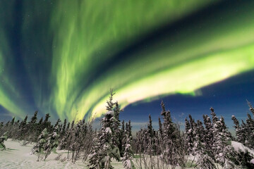 アラスカ　フェアバンクスのオーロラ