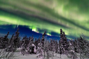 アラスカ　フェアバンクスのオーロラ