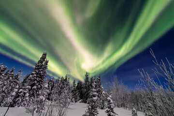 アラスカ　フェアバンクスのオーロラ