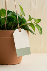 Hanging green vase with tag design