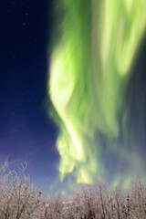 アラスカ　フェアバンクスのオーロラ