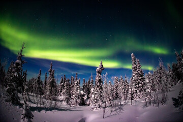 アラスカ　フェアバンクスのオーロラ