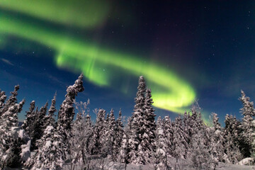 アラスカ　フェアバンクスのオーロラ