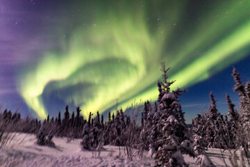 アラスカ　フェアバンクスのオーロラ