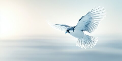 Fototapeta premium Captivating Flight of a Bird in Serene Atmosphere