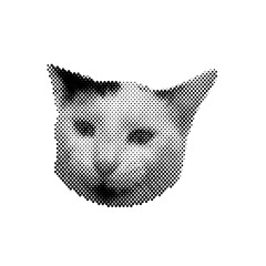 Halftone cat face isolated on Transparent Background © Cybrart
