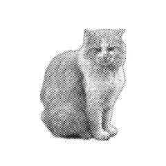 Gray cat sitting isolated on Transparent Background © Cybrart