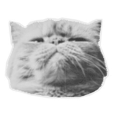 Pixel art cat face isolated on Transparent Background © Cybrart