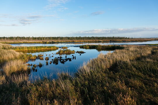 Naturschutzgebiet Anklamer Stadtbruch in der Abendsonne