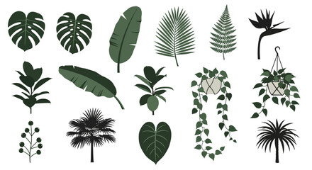 Collection of various tropical leaves and plants illustrations. © Abhinaya Project