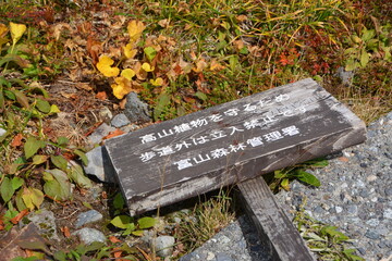 高山植物保護を呼びかける立入禁止の看板