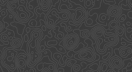 Dark grey topographic map pattern with swirling contour lines.