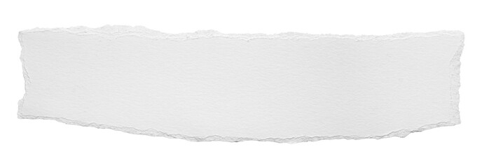 ripped element set of torn paper edges isolated with clipping path on background. torn paper texture, ripped of paper designs and jagged paper edges create a raw