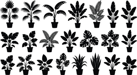 Black tropical houseplant silhouettes in pots set, indoor monstera palm and fern leaf icons, botanical home decor vector illustration collection © Jannatun