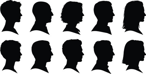 Brazil map silhouette with gray regional borders on white background, South American country geography vector for travel and educational design © Jannatun