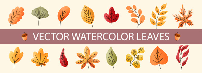 Autumn maple watercolor with leaves leaf fall and dry japanese tree. Vector foliage yellow with red color illustration and oak brown cute. Design element autumn with gold green leaves © alia.kurianova