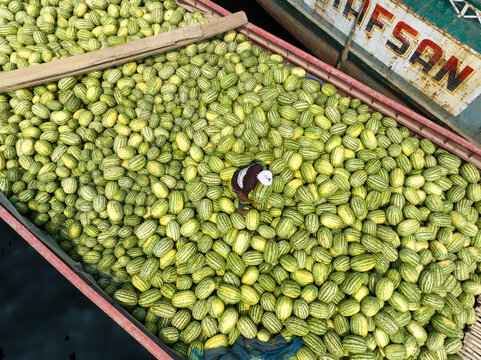Dhaka, Bangladesh - 23 March 2025: Aerial view of a boat overflowing with pale green pointed gourds, a lone figure standing amidst the harvest, creating a vibrant tableau of commerce on the water..
