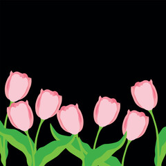 Dark background with pink tulips