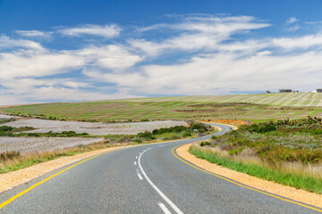 Naklejka premium Asphalt road in South Africa surrounded by fields