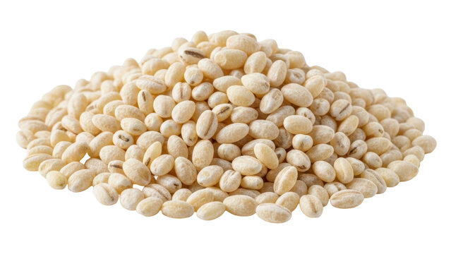 Isolated pile of hulled barley grains is a healthy whole food for cooking or food ingredients