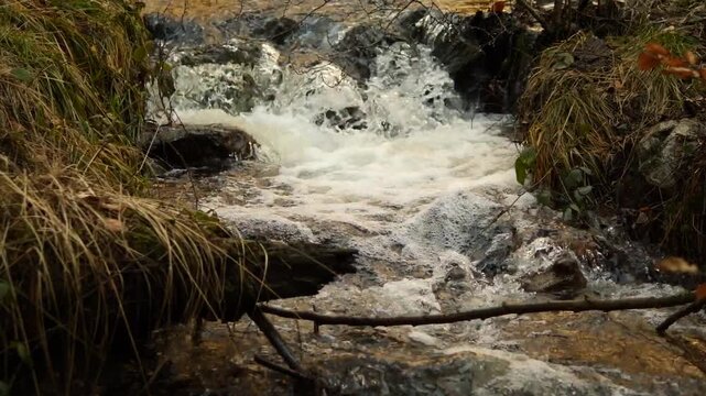 Der Ochsenflo&szlig;-Bach bei B&ouml;rfink