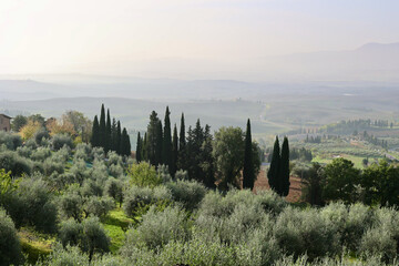 Obraz premium Misty Autumn Morning in Val d’Orcia Near Pienza, Tuscany
