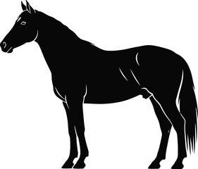 Obraz premium Black horse vector silhouette