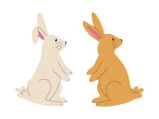 Hand drawn rabbit, standing bunny illustration