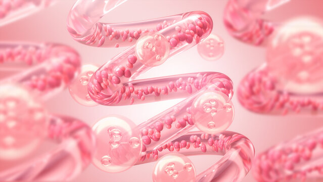 3d rendering, Elastin and Collagen layer under skin, Biology and cosmetic medicine concept