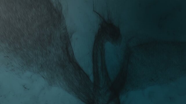 3d animation of a dragon flapping its wings, built from particles