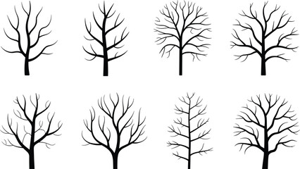 Bare winter tree silhouettes collection with leafless branches forest trees isolated on white background nature vector illustration set