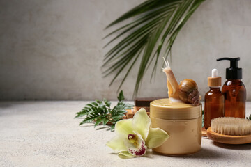 Spa composition with cosmetic products, Giant Achatina snail and orchid flower on light table © Pixel-Shot
