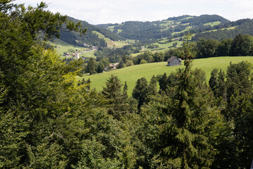 Lush hills roll under a soft, bright sky. Trees frame the view, adding depth and texture. Village homes peek through the greenery. Sunlight glows warmly over rolling pastures © The Great Capture