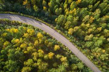 Aerial drone view of trail in colorful autumn forest