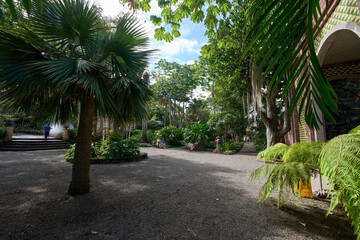 Obraz premium Botanical garden path with visitors